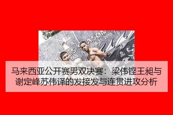 马来西亚公开赛男双决赛：梁伟铿王昶与谢定峰苏伟译的发接发与连贯进攻分析